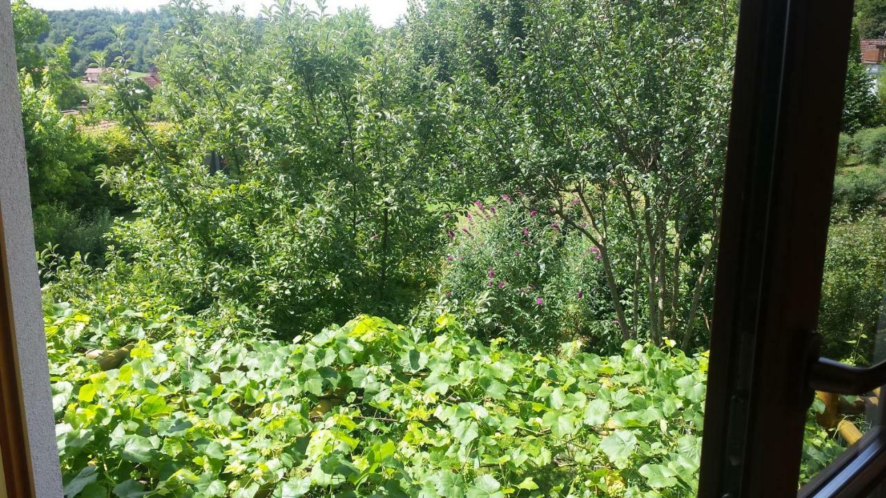 Gastezimmer Nahe Wesslinger See Εξωτερικό φωτογραφία